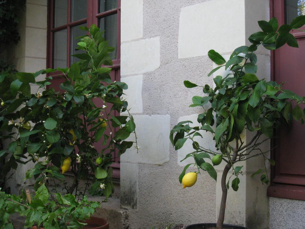 Le Logis Des Tourelles Bed and Breakfast Beaupréau Buitenkant foto